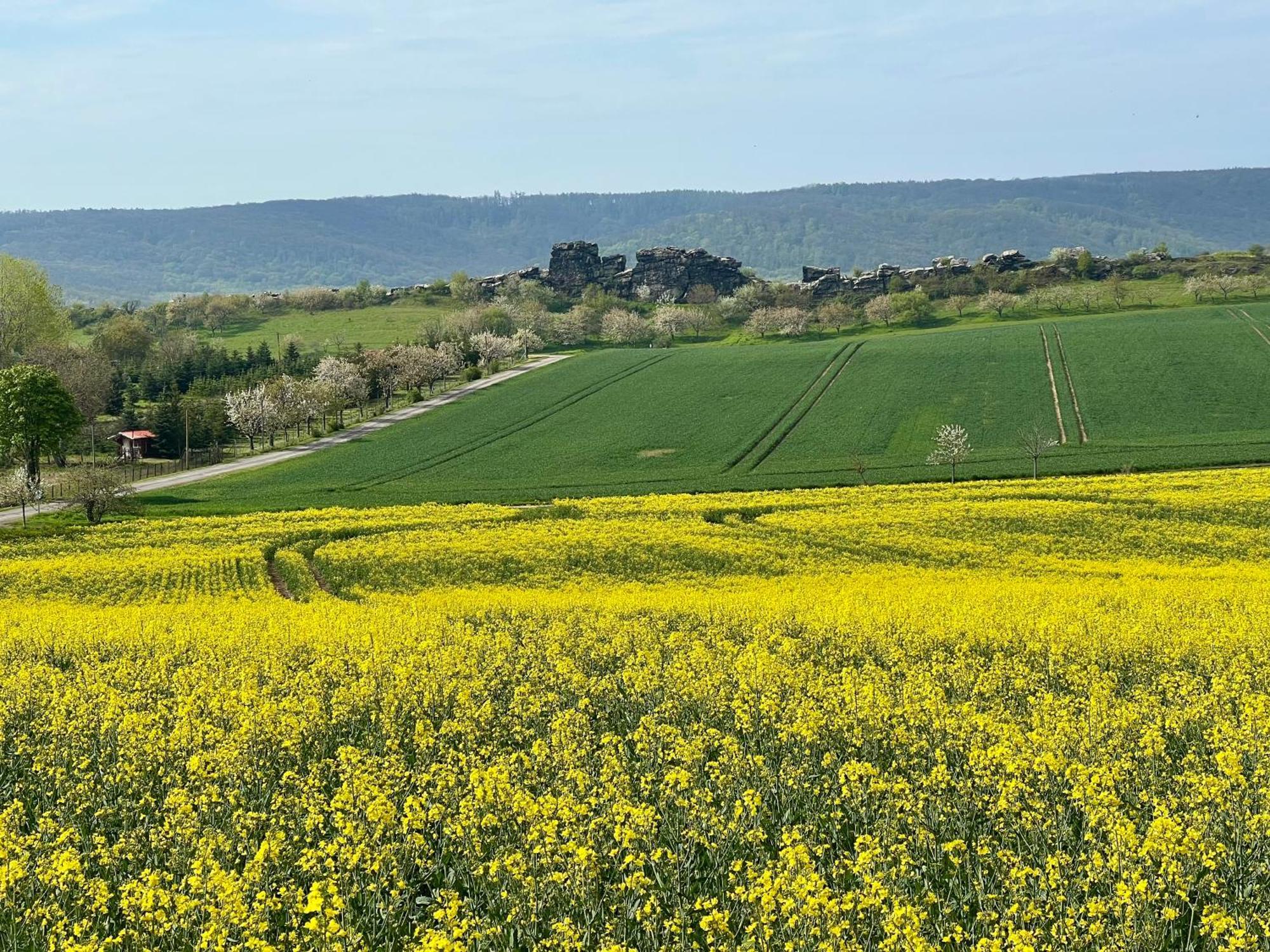 Landhaus Pusteblume Quedlinburg Luaran gambar